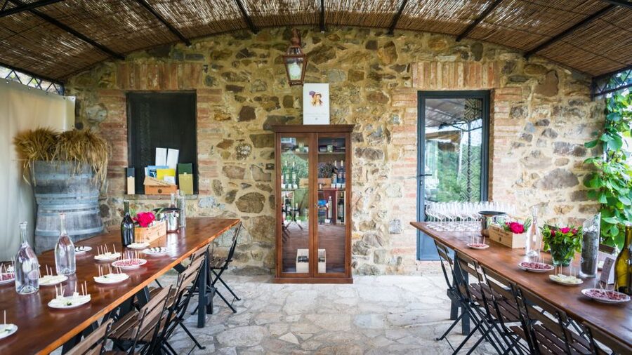 Total Immersion Wine Tour in Chianti - What the $47 Price Really Includes