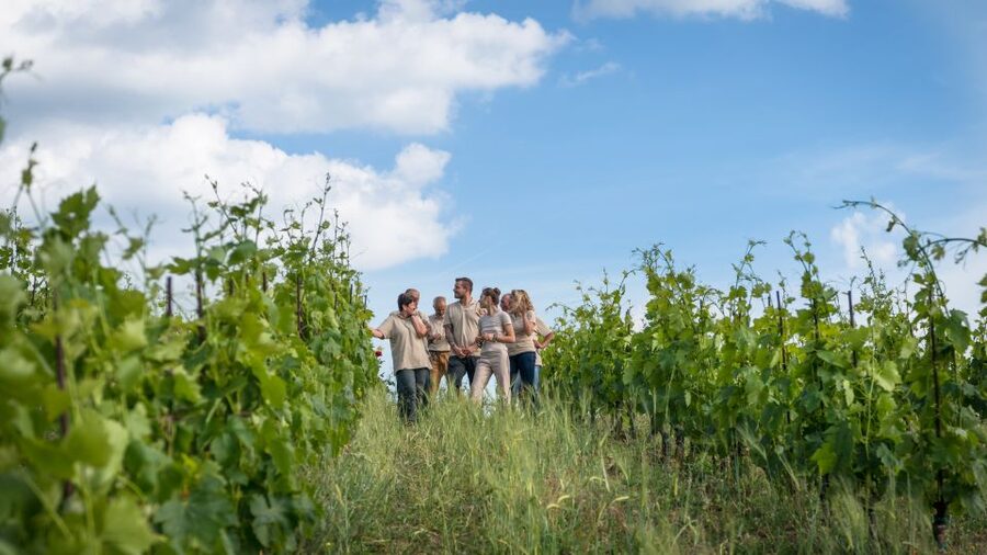 Total Immersion Wine Tour in Chianti - Who Should Book This Chianti Visit?