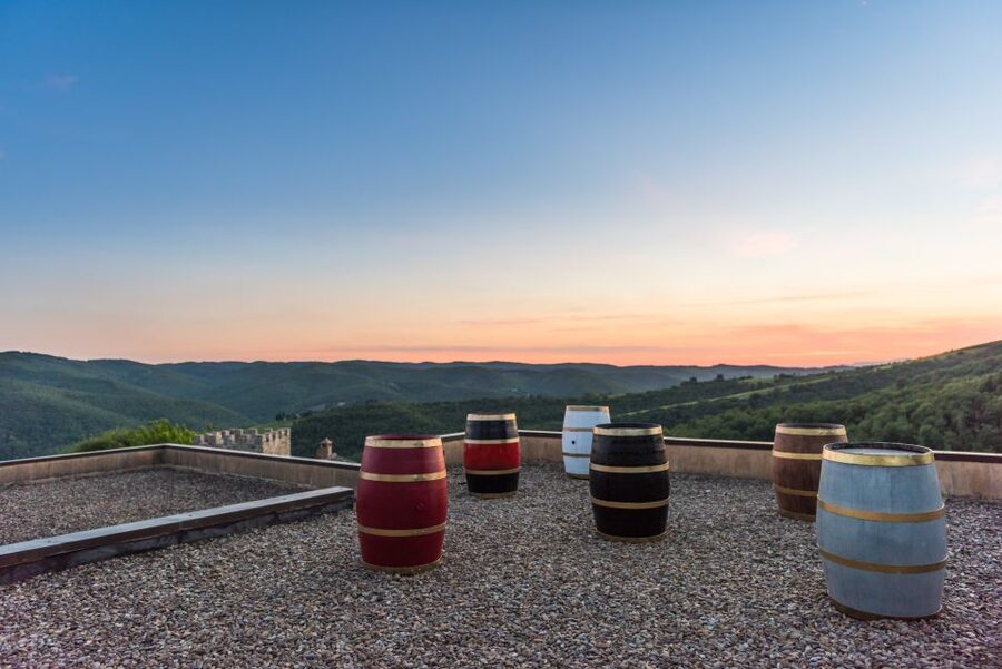 Total Immersion Wine Tour in Chianti - Should You Book the Fattoria di Montemaggio Tour?
