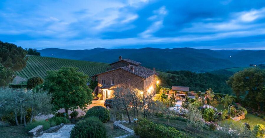 Total Immersion Wine Tour in Chianti - Walking the Vineyard and Learning Organic Methods