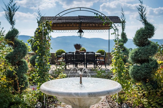 Tour and Tasting at an Organic Winery in the Heart of Chianti Classico Area - Tasting five or more wines with Tuscan snacks