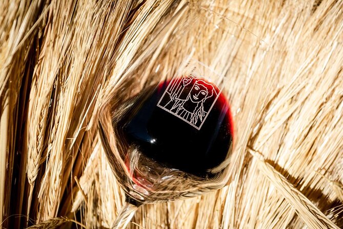 Tour and Tasting at an Organic Winery in the Heart of Chianti Classico Area - Booking, timing, and cancellation details