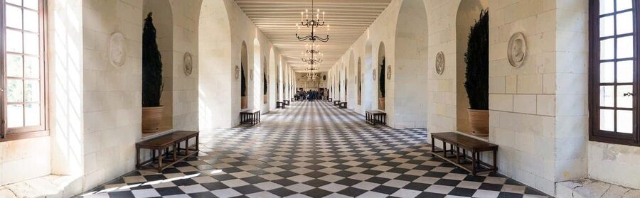 Tours/Amboise: Chambord, Chenonceau Day Trip & Wine Tasting - Chenonceau, the castle across the Cher