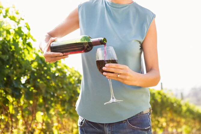 Troodos Mountains Vino Venture: All Inclusive Full Day Wine Tour - Key points at a glance