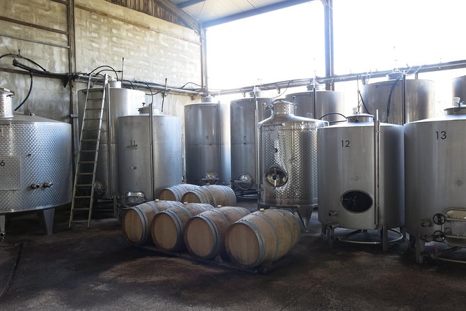 Troodos Mountains Vino Venture: All Inclusive Full Day Wine Tour - Leaving Paphos for the Troodos foothills