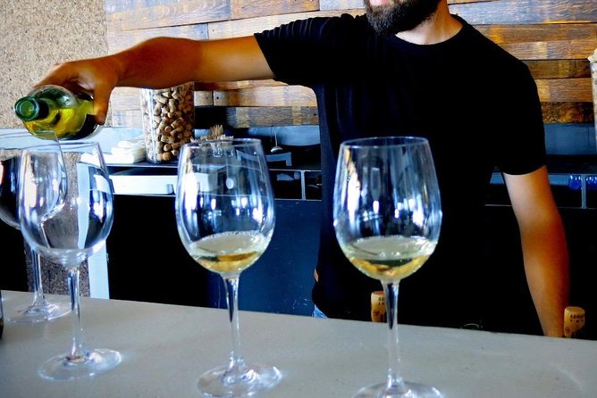 Troodos Mountains Vino Venture: All Inclusive Full Day Wine Tour - Timing, changes, and useful planning tips
