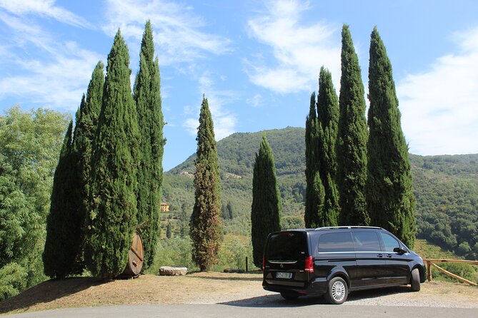 Tuscan Wine Tour in Lucca by van - Key points at a glance