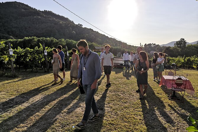Tuscan Wine Tour in Lucca by van - Leaving Lucca by air-conditioned van
