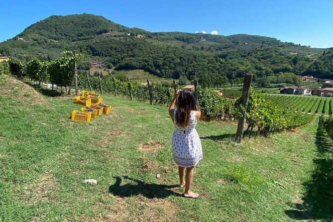 Tuscan Wine Tour in Lucca by van - Why meeting the winemakers matters