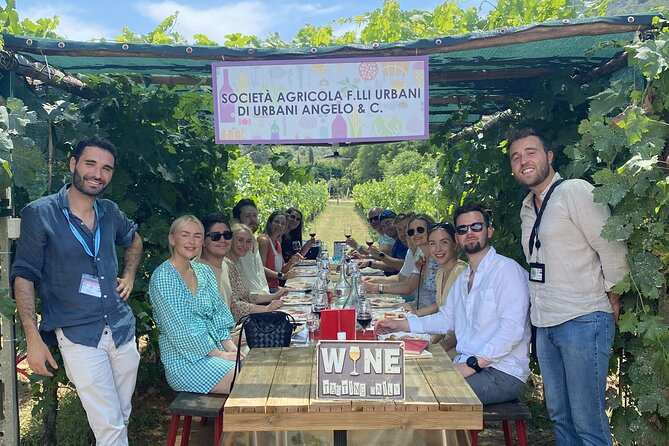 Tuscan Wine Tour in Lucca by van - Timing, comfort, and practical details