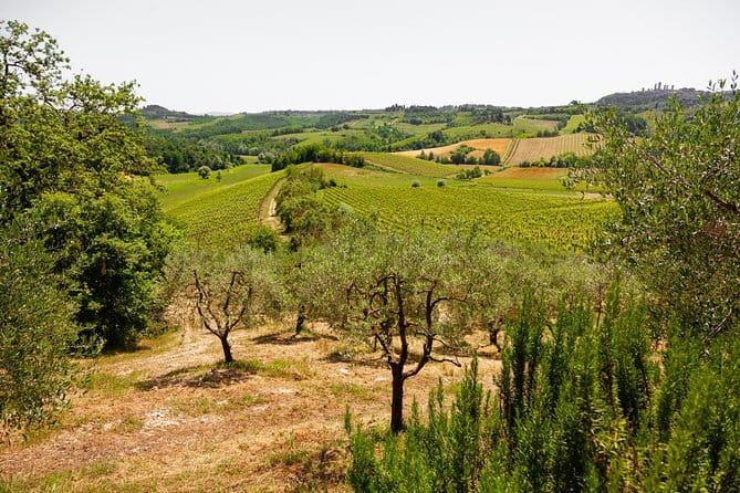 Tuscany Day Trip from Florence: Siena, San Gimignano, Pisa and Lunch at a Winery - Siena Cathedral is the artistic centerpiece