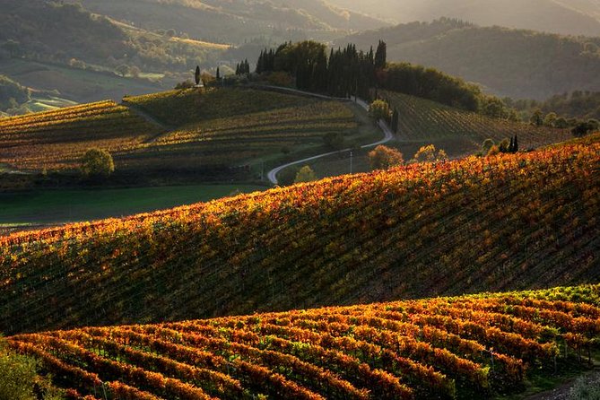 Tuscany Hiking Tour from Siena Including Wine Tasting - Key points to know before booking