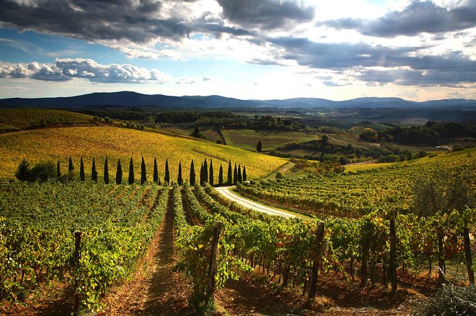 Tuscany Hiking Tour from Siena Including Wine Tasting - Following the Via Francigena from Siena