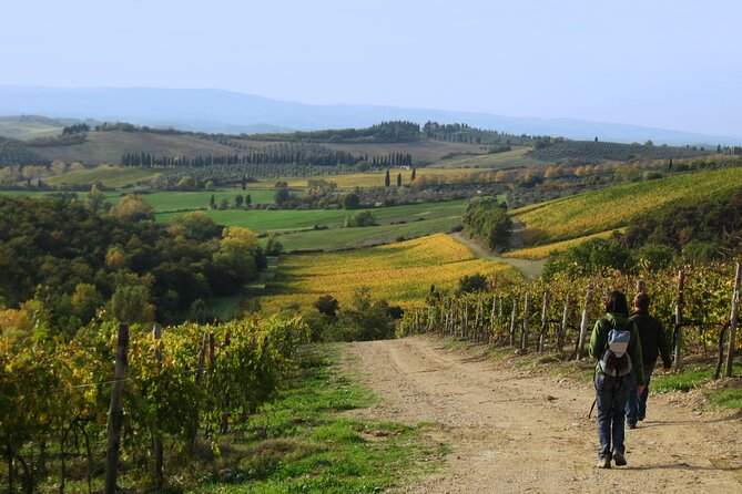 Tuscany Hiking Tour from Siena Including Wine Tasting - Is $72.56 good value?