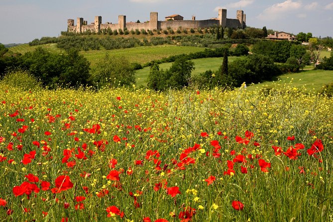 Tuscany Hiking Tour from Siena Including Wine Tasting - Who will enjoy this Siena outing?