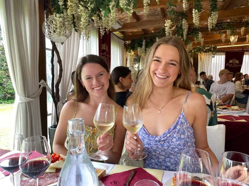 Tuscany Wine Tour: 2 Wineries & San Gimignano from Florence - What the $229.77 price really covers