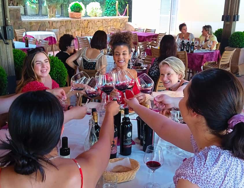 Tuscany Wine Tour: 2 Wineries & San Gimignano from Florence - Who should book this day in Tuscany?