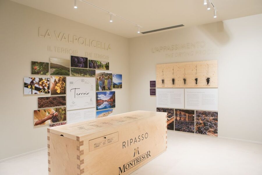 Verona: Montresor Winery Visit with Wine Tasting and Snacks - The museum connects Montresor to Verona