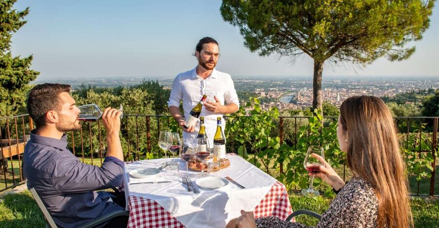 Verona: Wine Tasting with Snacks and Panoramic Views - A hillside winery close to Verona