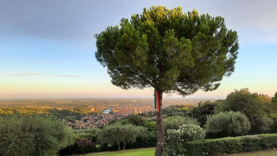 Verona: Wine Tasting with Snacks and Panoramic Views - Local cheese and cured meats on the terrace