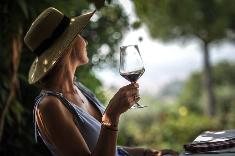 Verona: Wine Tasting with Snacks and Panoramic Views - The view over Verona is the real setting