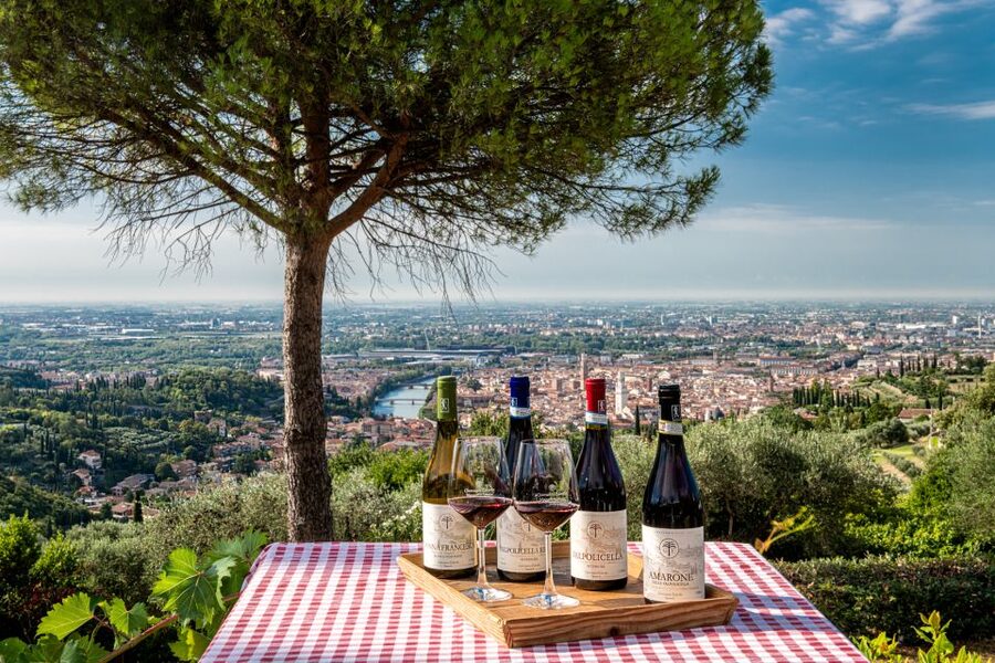 Verona: Wine Tasting with Snacks and Panoramic Views - Is $53 good value?