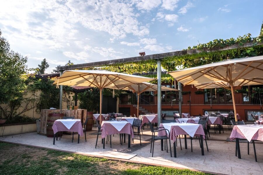 Verona: Wine Tasting with Snacks and Panoramic Views - The 30-minute walk through the vines and winery