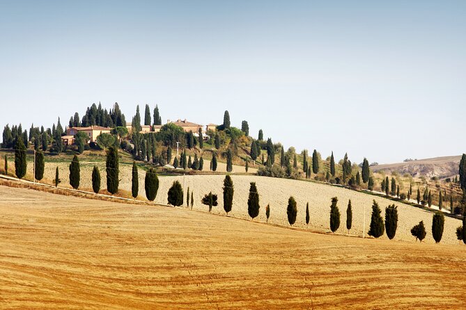 Vespa Tour with Lunch&Chianti Winery from Siena - Key points to know before booking