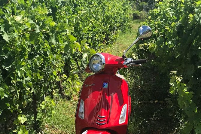 Vespa Tour with Lunch&Chianti Winery from Siena - Monteriggioni and its medieval walls