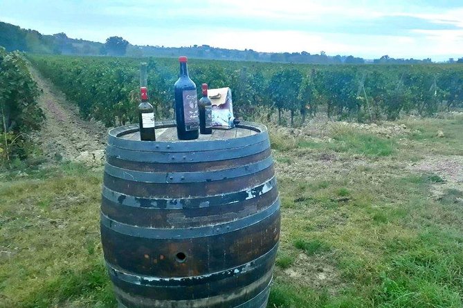 Vespa Tour with Lunch&Chianti Winery from Siena - Driving your own Vespa or riding behind someone else