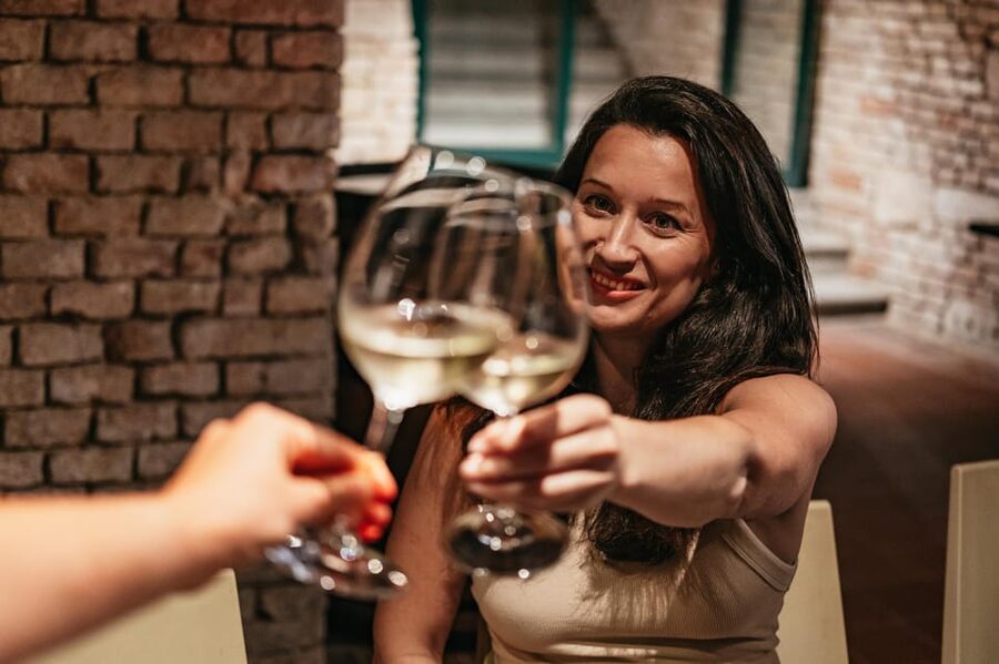 Vienna: Wine Tasting Experience in a Private Wine Cellar - The food, wine, and conversation work best together