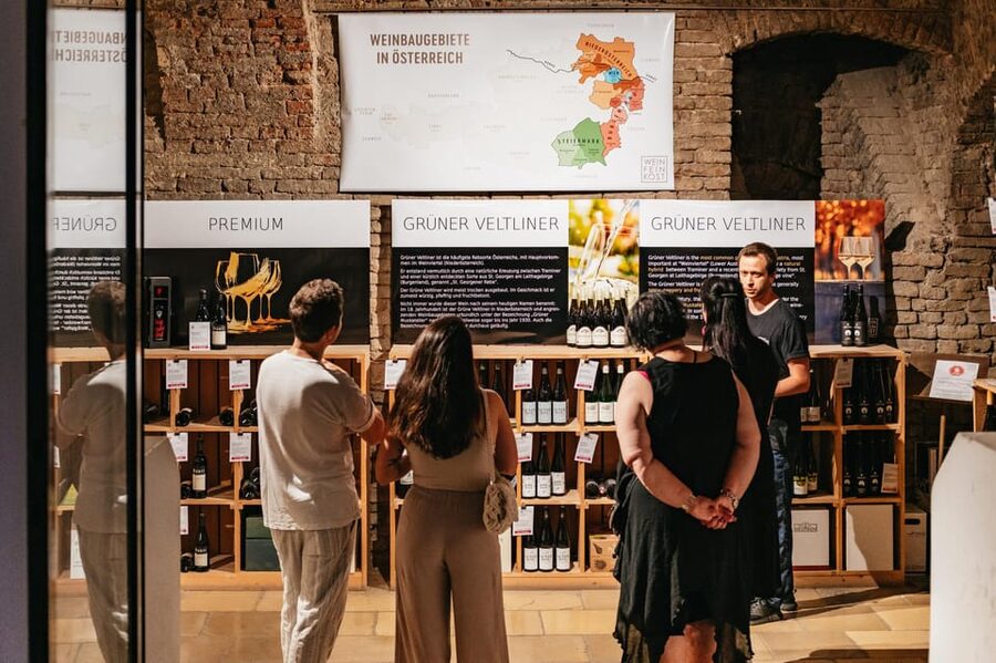 Vienna: Wine Tasting Experience in a Private Wine Cellar - What the longer three-cellar option adds