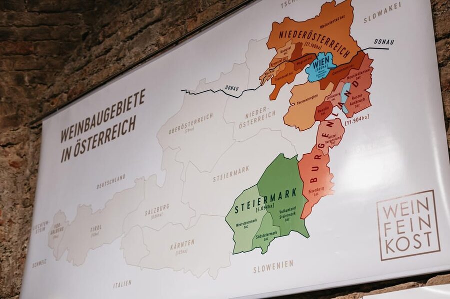 Vienna: Wine Tasting Experience in a Private Wine Cellar - Who should book this tasting?