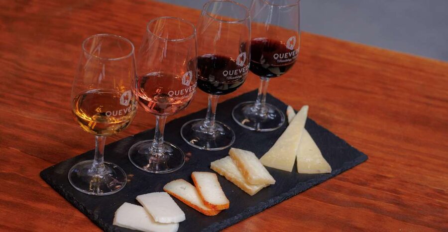 Vila Nova de Gaia: Port Wine Tasting with Cheese Pairing - A focused Port tasting in Vila Nova de Gaia