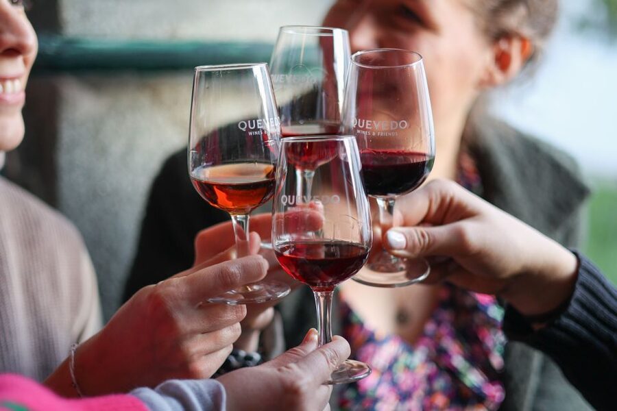 Vila Nova de Gaia: Port Wine Tasting with Cheese Pairing - Value, timing, and practical details