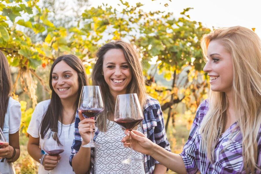 Vineyard Sips: Family Winery Tour & Gourmet Tasting in Corfu - The relaxed atmosphere, including the small touches