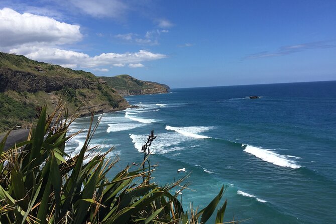 Vineyards Honey and Black Sand Beaches from Auckland - Why this Auckland day trip works