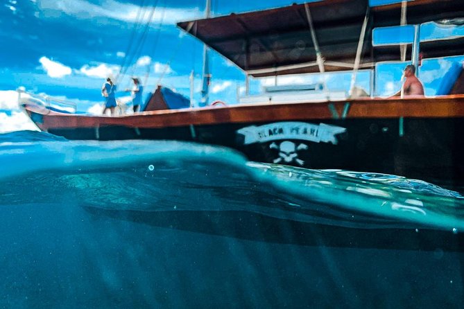 VIP Morning Delight Champagne Sailing and Snorkeling with Lunch - Who Will Enjoy It Most?