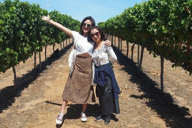 VIP Swan Valley Wine Tour - Premium Small Group Wine & Gourmet Experience - Key points at a glance