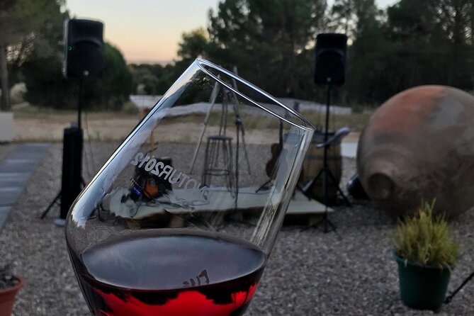 Visit and Wine Tasting at the Territorio Luthier Winery - Key points to know before you book