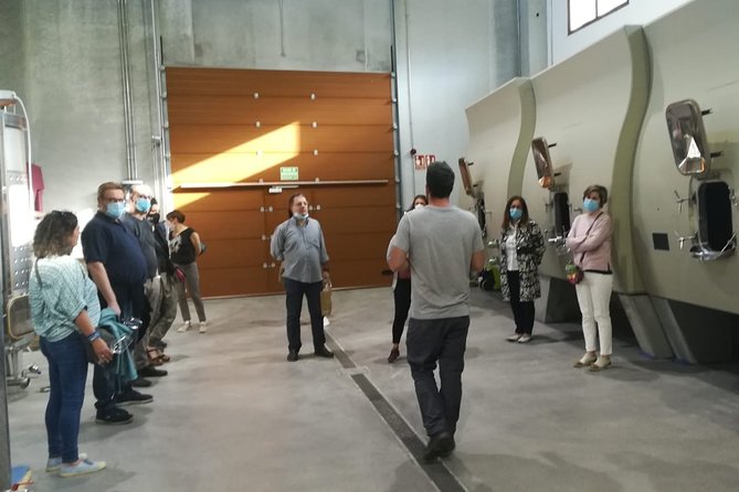 Visit and Wine Tasting at the Territorio Luthier Winery - A small winery with a very particular point of view
