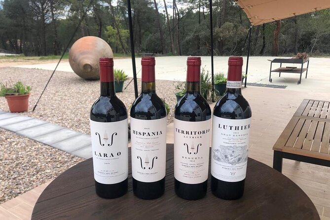 Visit and Wine Tasting at the Territorio Luthier Winery - Why the small group makes a difference