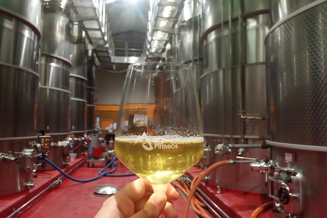Visit and wine tasting with sausage and BODEGA PIRINEOS cheese - From grape intake to the processing area