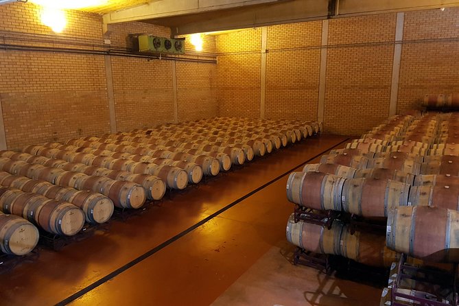 Visit and wine tasting with sausage and BODEGA PIRINEOS cheese - Starting at Bodega Pirineos near Barbastro