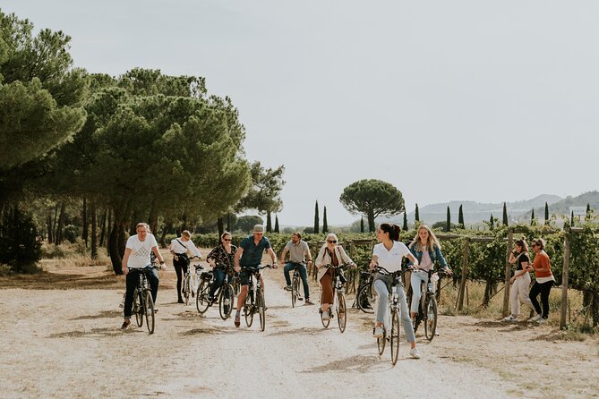 Visit La Joya Escondida de la Ribera del Duero Winery - Starting in the vineyard and winery