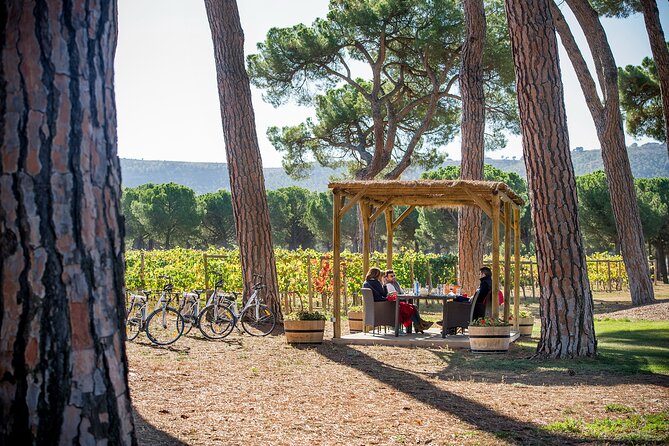 Visit La Joya Escondida de la Ribera del Duero Winery - Who will enjoy this winery visit most?
