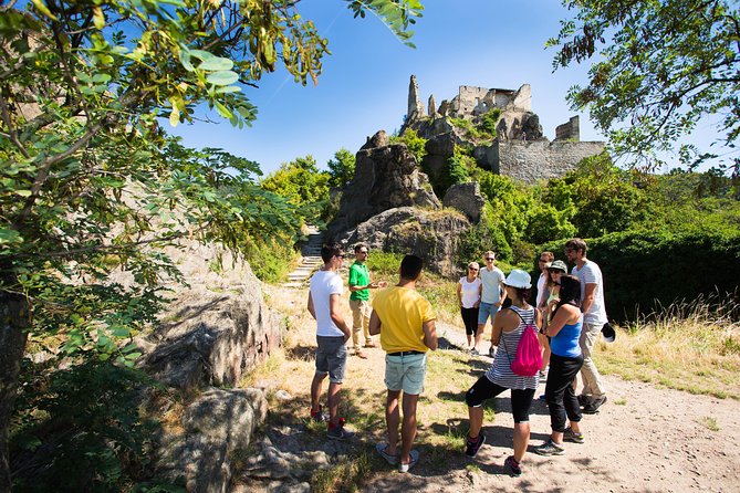 Wachau Valley Wine Tasting Bike Tour from Vienna - Lunch at a wine tavern, with cash in your pocket