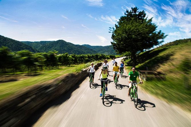 Wachau Valley Wine Tasting Bike Tour from Vienna - Is 25 kilometers really easy?