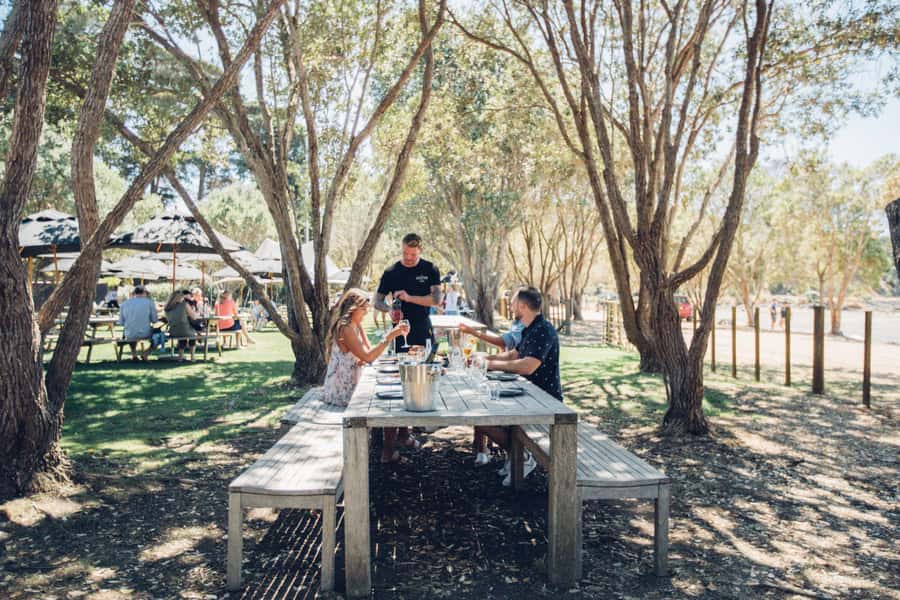 Waiheke Island: Scenic Island Wine Tour & Local Wine Tasting - Who should book this Waiheke wine tour?
