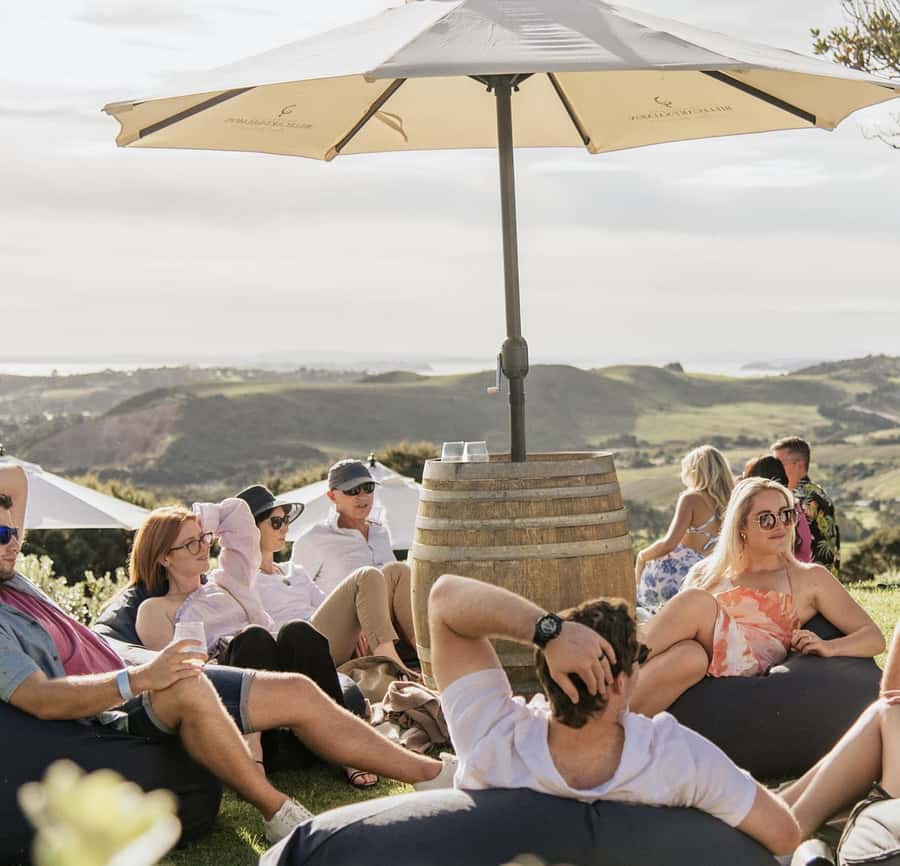Waiheke Island: Scenic Island Wine Tour & Local Wine Tasting - Why Waiheke works so well for a wine day